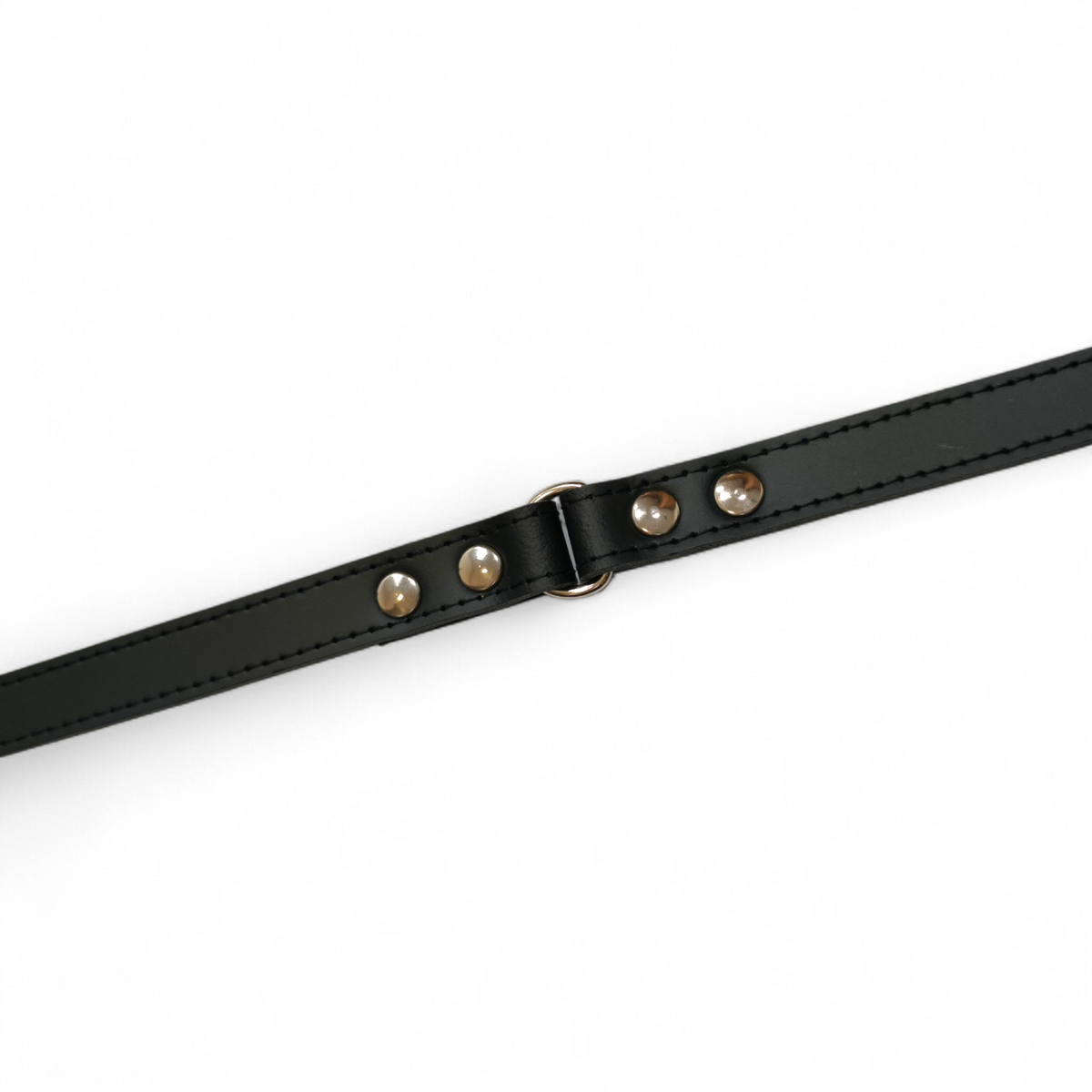 Wiener & Co. leren teckelriem productfoto